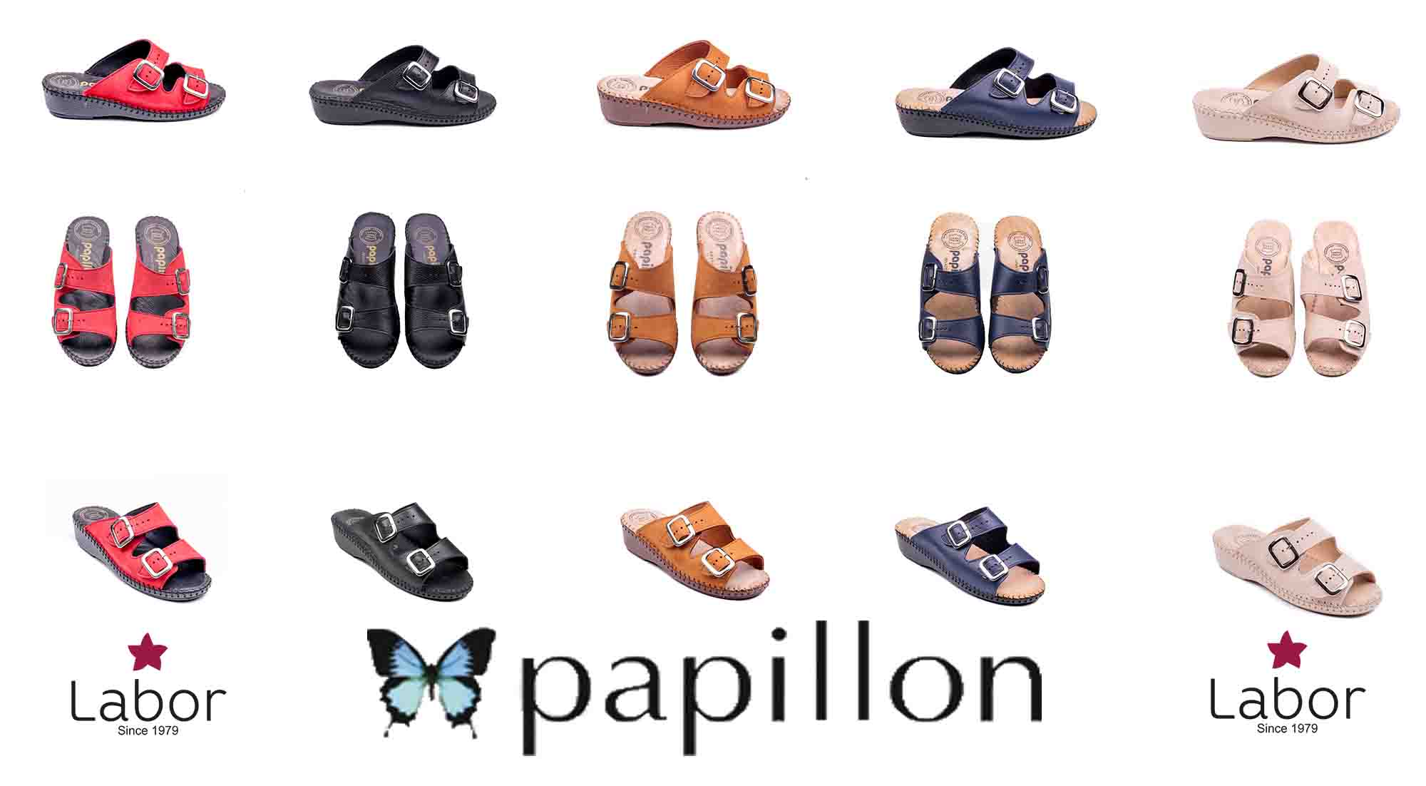 papillon terlik 