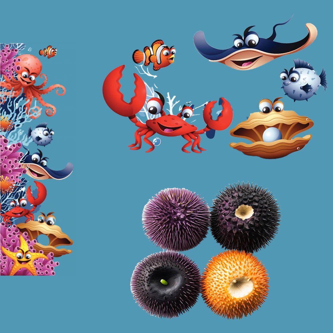 Deniz kestanesi elimize ya da ayağımıza battığında ne yapmamız lazım?